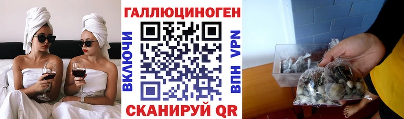 дарнет шоп  Красноармейск  Галлюциногенные грибы мицелий 
