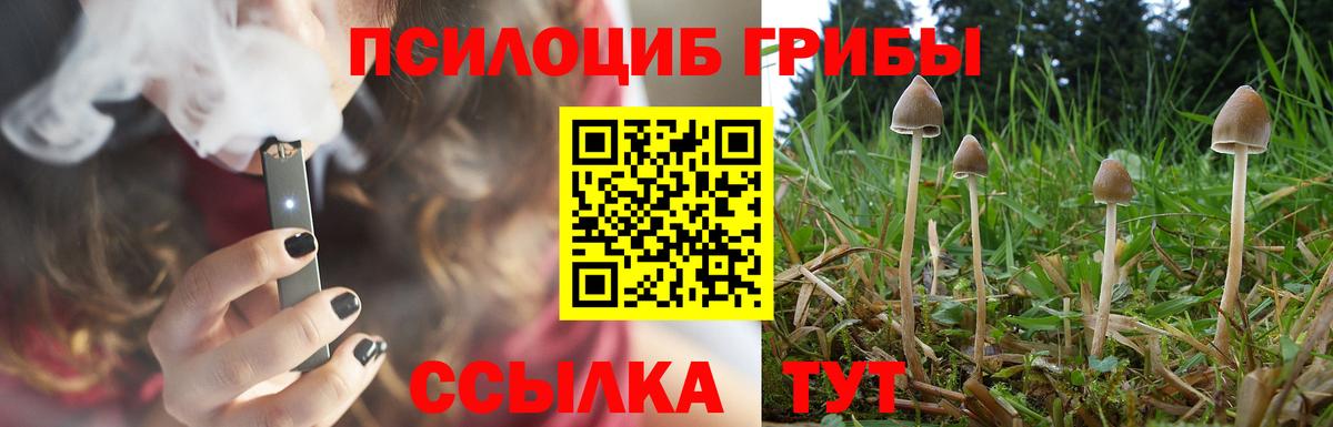 Галлюциногенные грибы ЛСД Красноармейск