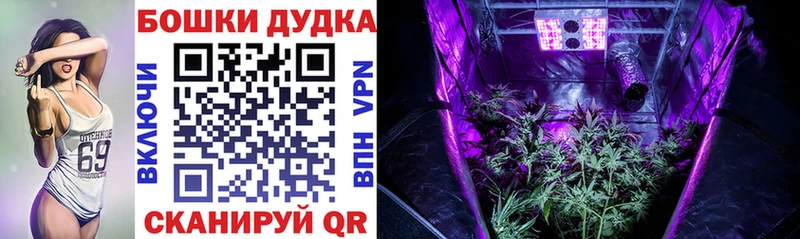 где купить наркоту  Красноармейск  МАРИХУАНА THC 21% 